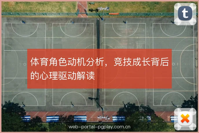 体育角色动机分析，竞技成长背后的心理驱动解读